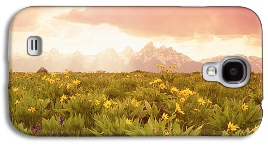 Photography Galaxy S4 Case featuring the photograph Grand Teton Park, Wyoming, Usa by Panoramic Images