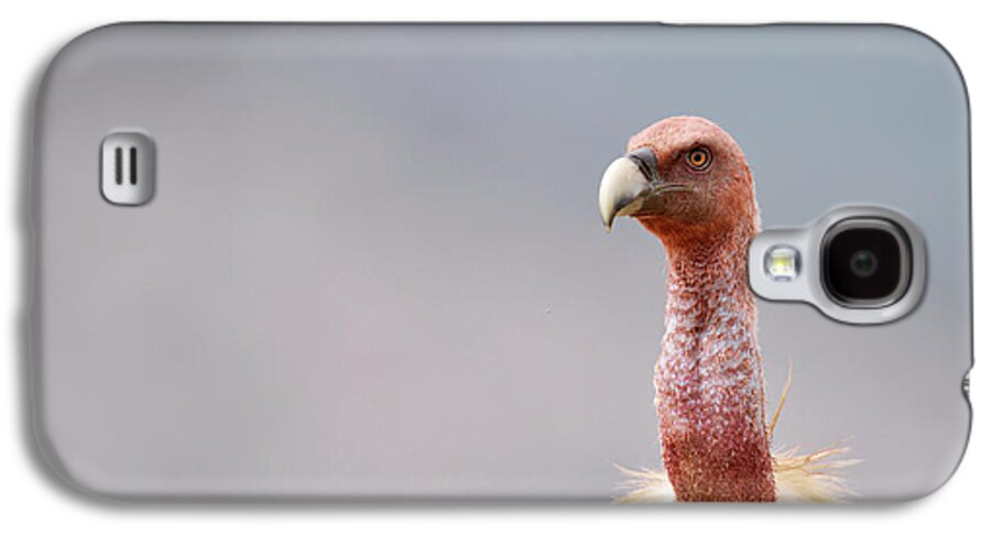 Griffon Vulture Galaxy S4 Case featuring the photograph Griffon Vulture by Dr P. Marazzi
