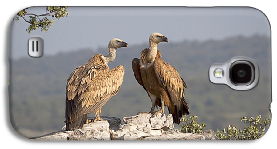 Gerard De Hoog Galaxy S4 Case featuring the photograph Griffon Vulture Pair Extremadura Spain by Gerard de Hoog