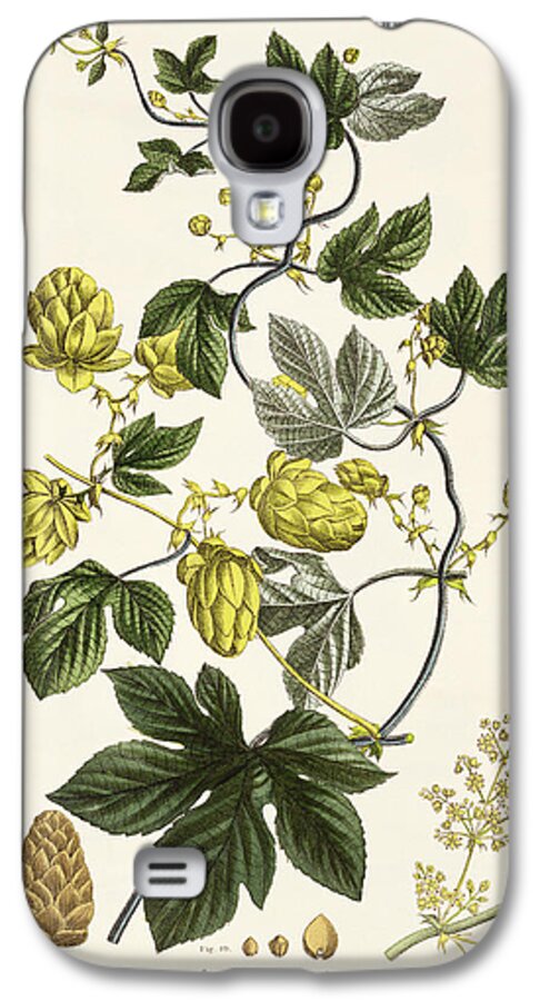 Hops Galaxy S4 Case featuring the drawing Hop Vine From The Young Landsman by Matthias Trentsensky
