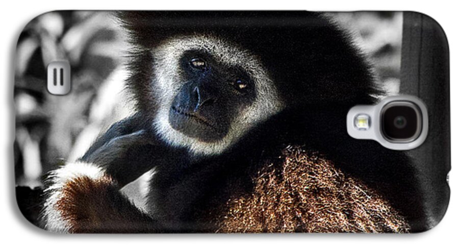 #tarongah Western Plains Zoo Galaxy S4 Case featuring the photograph I Think I Could Like You by Miroslava Jurcik