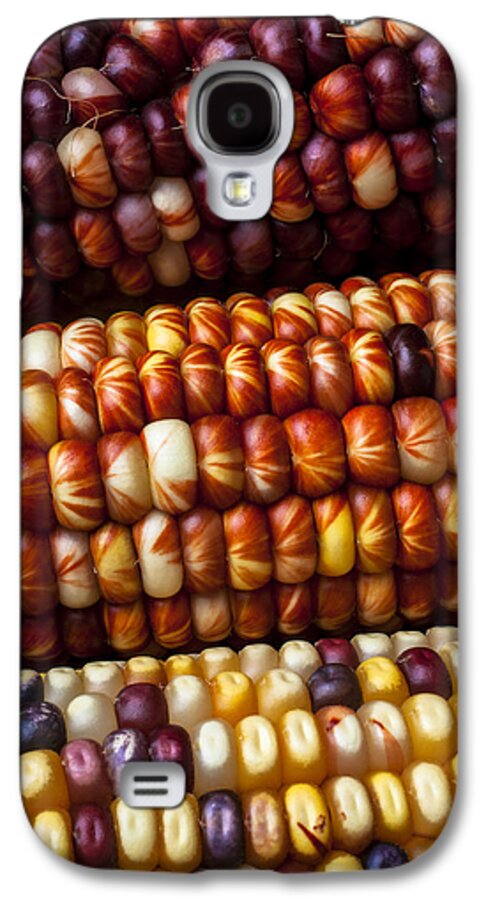  Indian Galaxy S4 Case featuring the photograph Indian Corn Harvest Time by Garry Gay