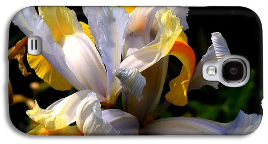 Iris Galaxy S4 Case featuring the photograph Iris by Rona Black
