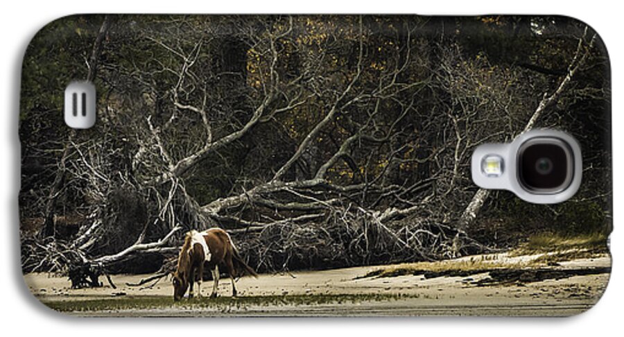 Autumn Galaxy S4 Case featuring the photograph Island Pony by Donald Brown
