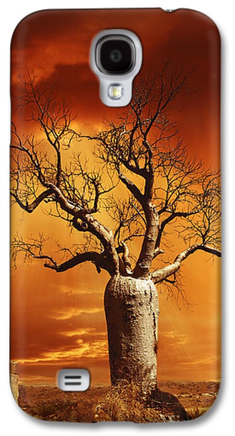 Boab Galaxy S4 Case featuring the photograph Kimberley Dreaming by Linda Lees