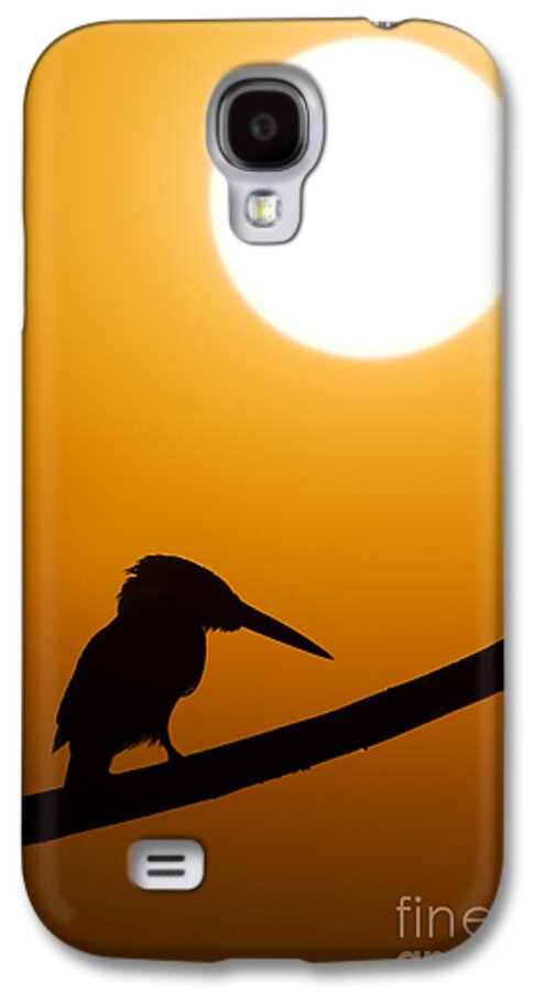 Kingfisher Galaxy S4 Case featuring the photograph Kingfisher Sunset Silhouette by Tim Gainey