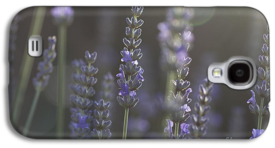 Lavender Galaxy S4 Case featuring the photograph Lavender Flare. by Clare Bambers