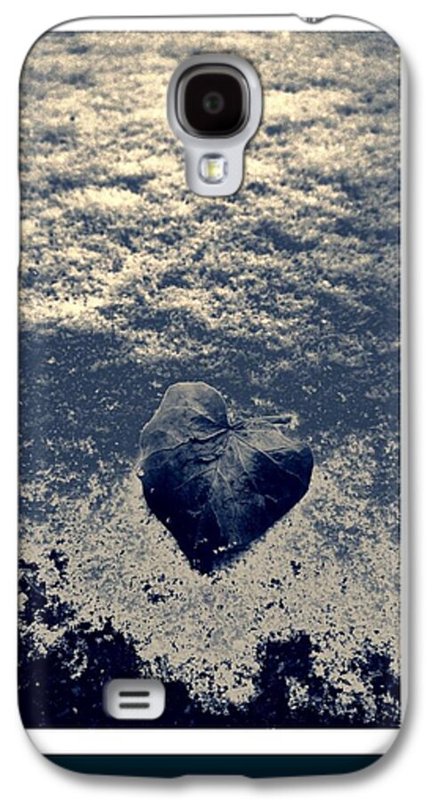 Leaf Galaxy S4 Case featuring the photograph Leaf alone by Paul Szakacs