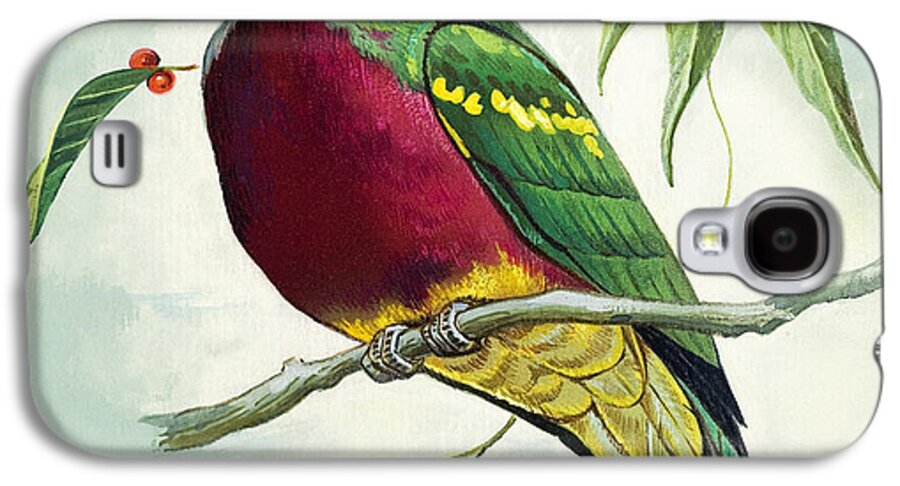 Bird Galaxy S4 Case featuring the painting Magnificent Fruit Pigeon by Bert Illoss