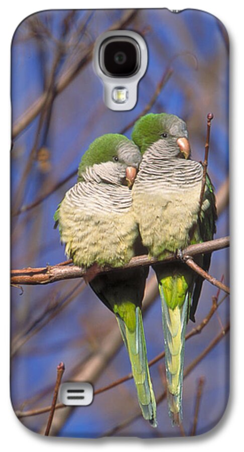 Monk Parakeet Galaxy S4 Case featuring the photograph Monk Parakeets by Paul J. Fusco