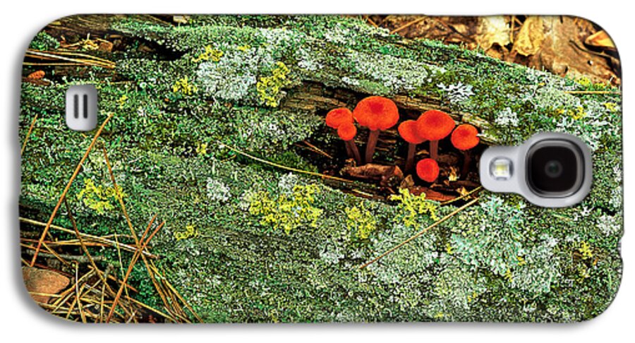Mushroom Galaxy S4 Case featuring the photograph Mushrooms On A Log by Stephen J. Krasemann