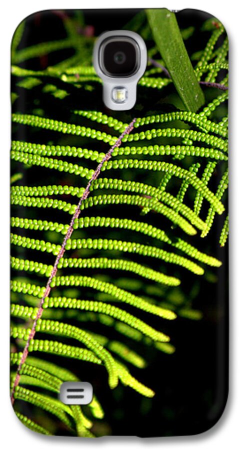 Fern Galaxy S4 Case featuring the photograph Pauched Coral Fern by Miroslava Jurcik