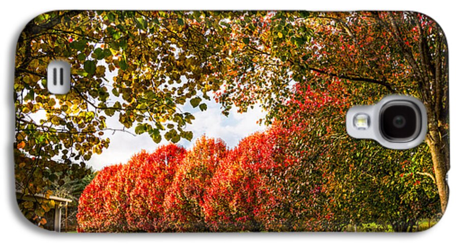 Appalachia Galaxy S4 Case featuring the photograph Pear Trees along the Lane by Debra and Dave Vanderlaan