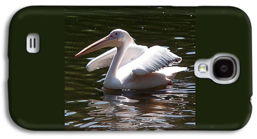 Great White Pelican Galaxy S4 Case featuring the photograph Pelican and Friend by Rona Black