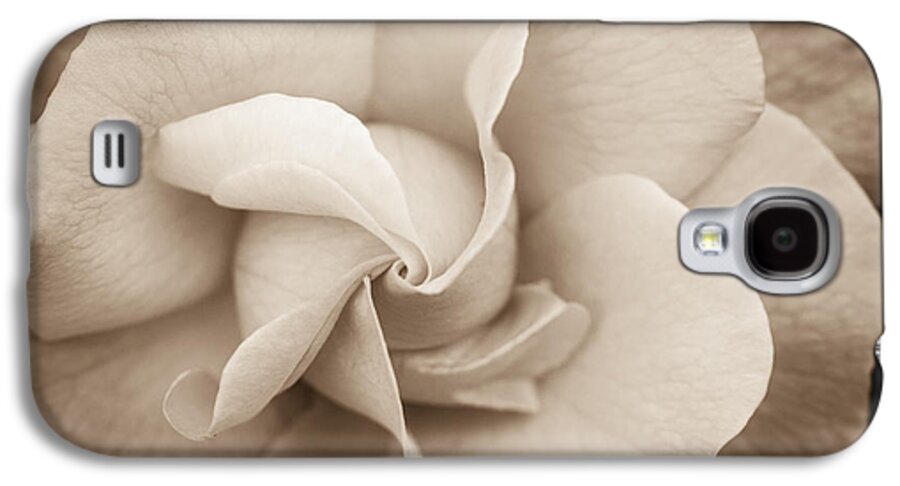 Rose Galaxy S4 Case featuring the photograph Pinwheel Rose by Cathy Donohoue