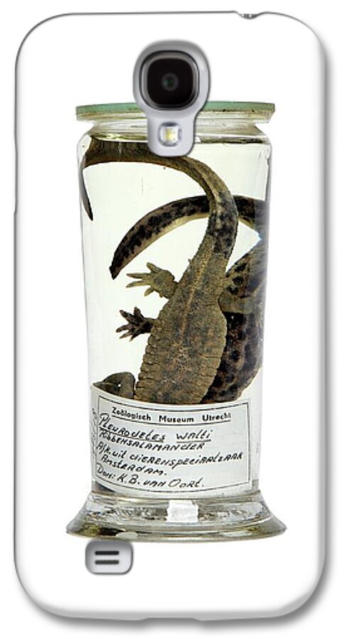 Formalin Galaxy S4 Case featuring the photograph Preserved Newts by Gregory Davies