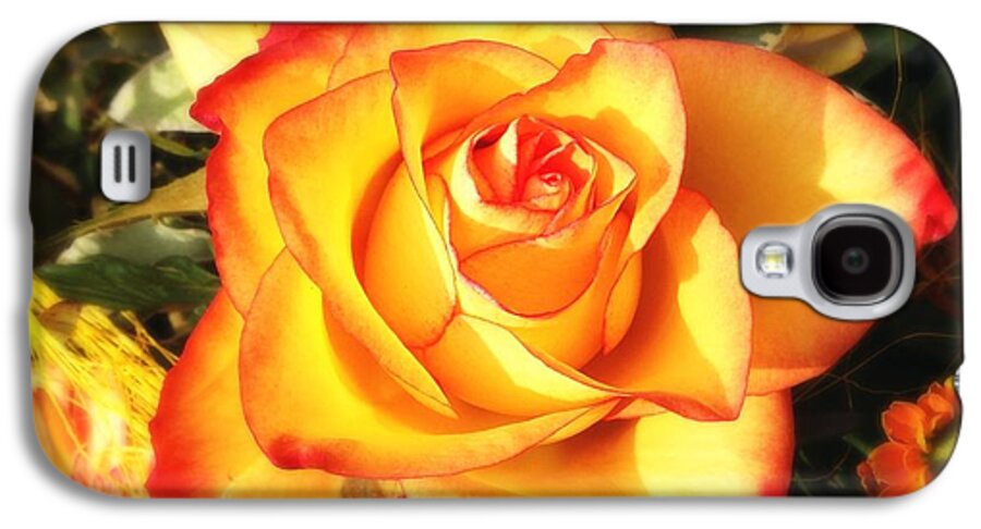 Rose Galaxy S4 Case featuring the photograph Pretty orange rose by Matthias Hauser