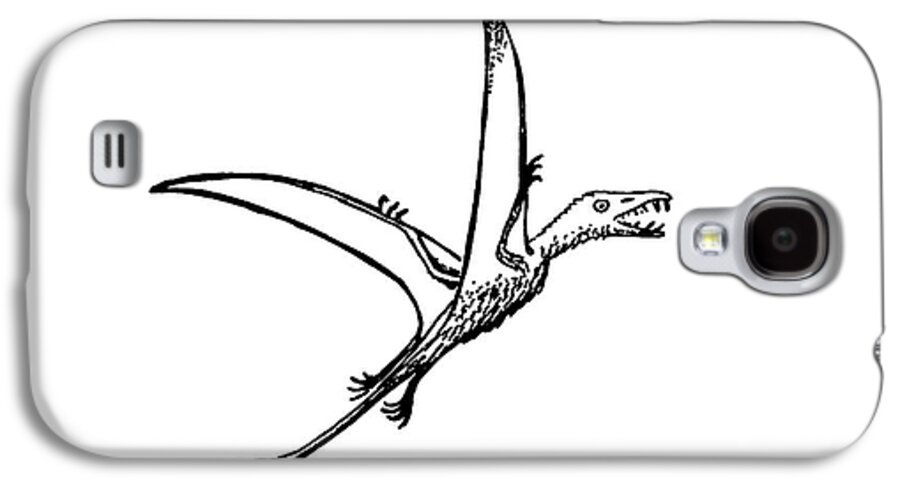 Dinosaur Galaxy S4 Case featuring the photograph Pterosaur Eudimophodon by Richard Bizley