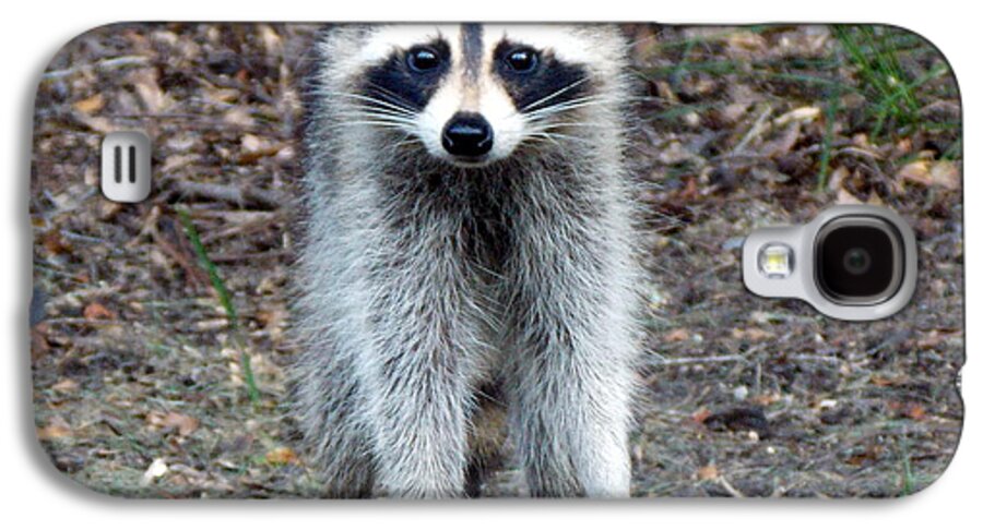 Raccoon Galaxy S4 Case featuring the photograph Raccoon Stare Down by Sheri McLeroy
