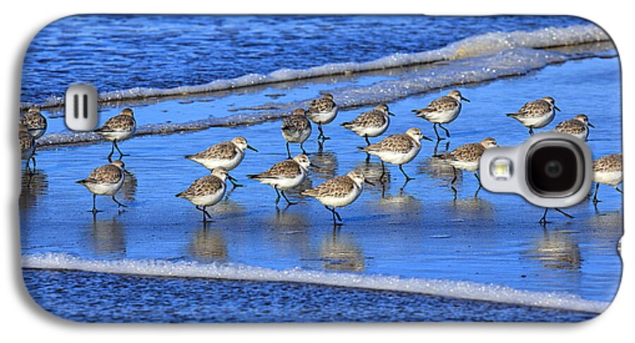 Beach Galaxy S4 Case featuring the photograph Sandpiper Symmetry by Robert Bynum