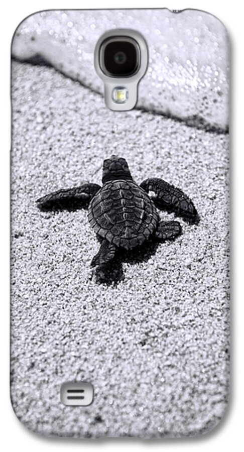 #faatoppicks Galaxy S4 Case featuring the photograph Sea Turtle by Sebastian Musial