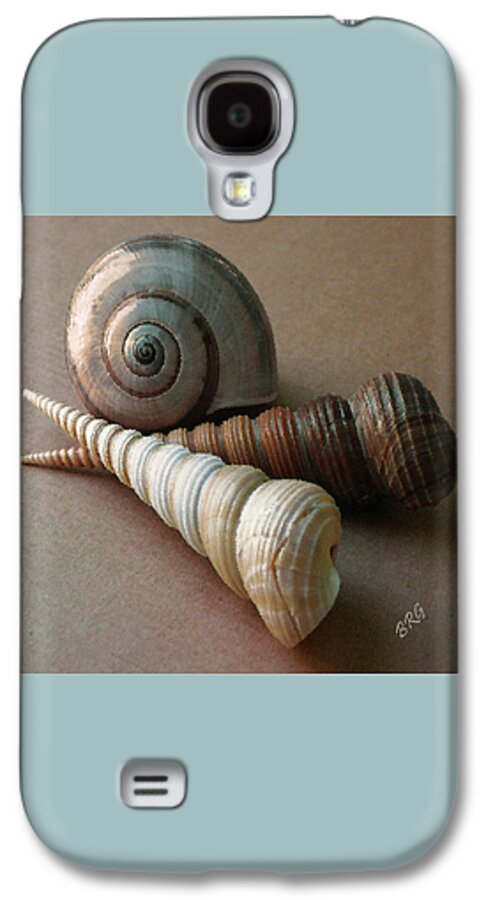 Seashell Galaxy S4 Case featuring the photograph Seashells Spectacular No 29 by Ben and Raisa Gertsberg