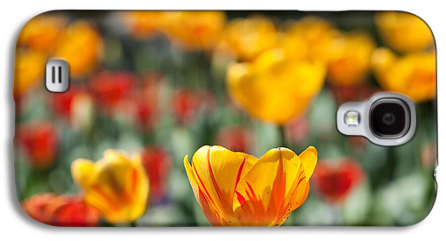 Flower Galaxy S4 Case featuring the photograph Spring is upon us by Nathan Rupert