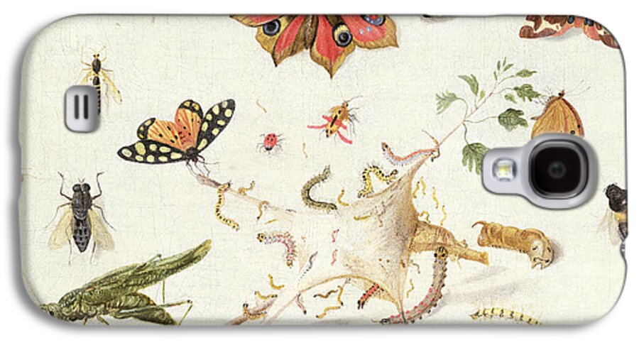 Insect Galaxy S4 Case featuring the painting Study of Insects and Flowers by Ferdinand van Kessel