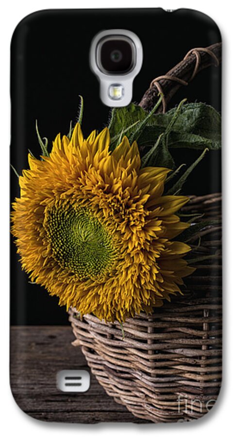Flower Galaxy S4 Case featuring the photograph Sunflower in a basket by Edward Fielding