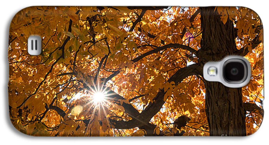 Fall Color Galaxy S4 Case featuring the photograph Sunshine Gold by Ana V Ramirez
