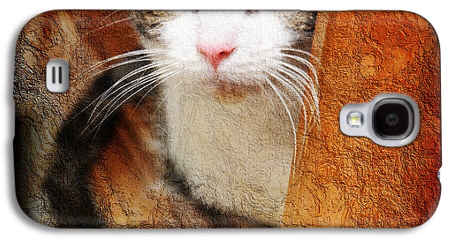 Cat Galaxy S4 Case featuring the photograph Sweet Innocence by Andee Design