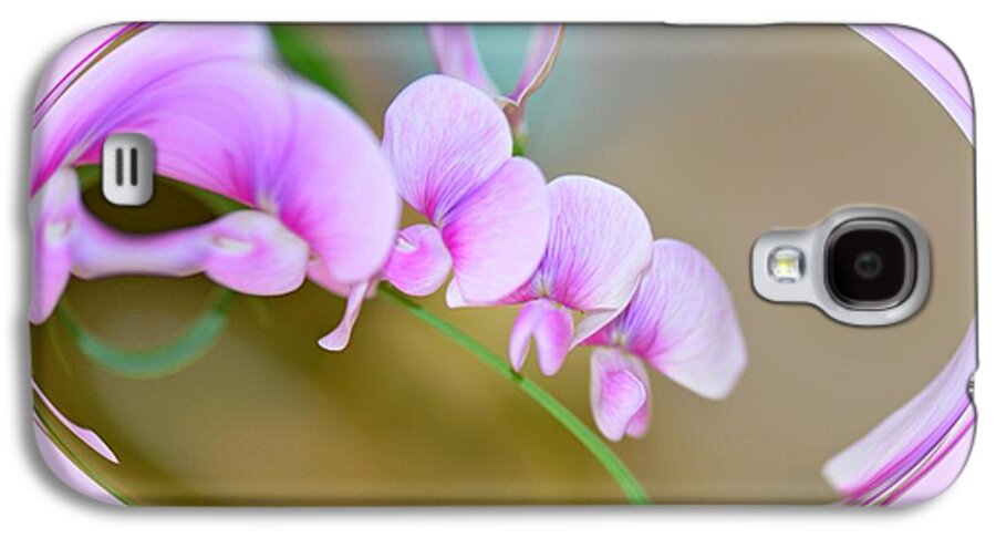 Sweet Pea Galaxy S4 Case featuring the photograph Sweet Peas in Oval Frame by Lena Photo Art