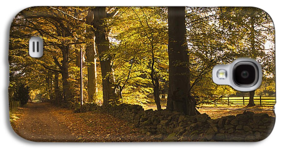 The Way Forward Galaxy S4 Case featuring the photograph Tree Lined Road Covered With Fallen by John Short