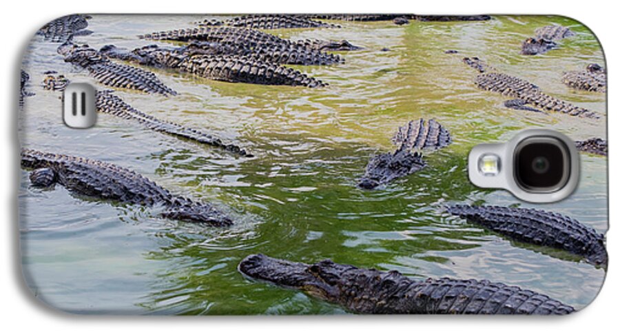 Alligator Galaxy S4 Case featuring the photograph USA, Florida, Ochopee by Charles Crust