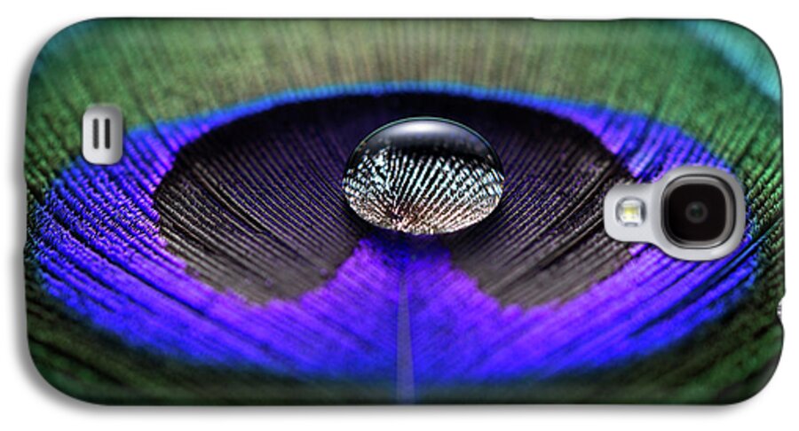 Water Drop On Peacock Feather by Miragec