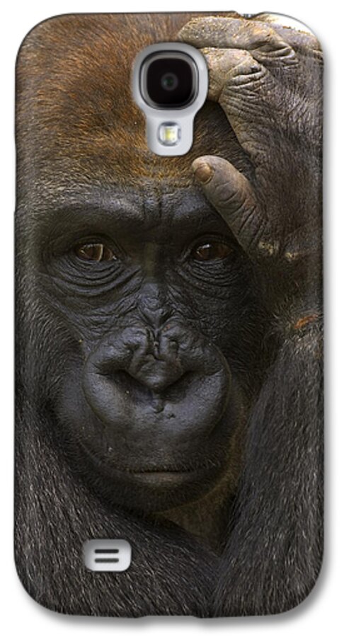 Feb0514 Galaxy S4 Case featuring the photograph Western Lowland Gorilla With Hand by San Diego Zoo