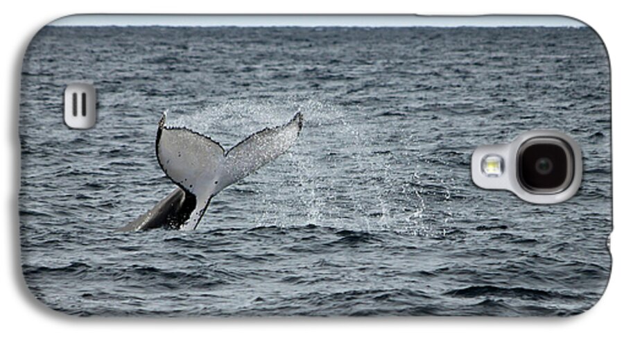 Whale Galaxy S4 Case featuring the photograph Whale of a time by Miroslava Jurcik
