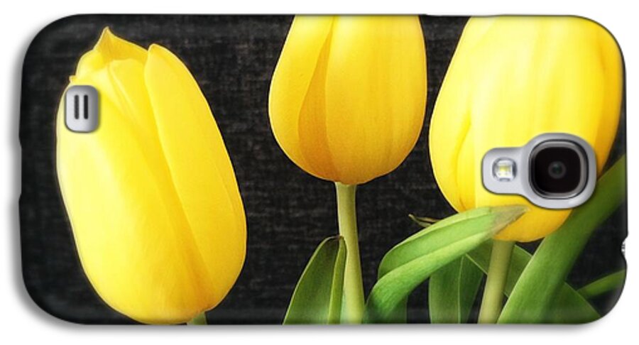 Yellow Galaxy S4 Case featuring the photograph Yellow tulips black background by Matthias Hauser