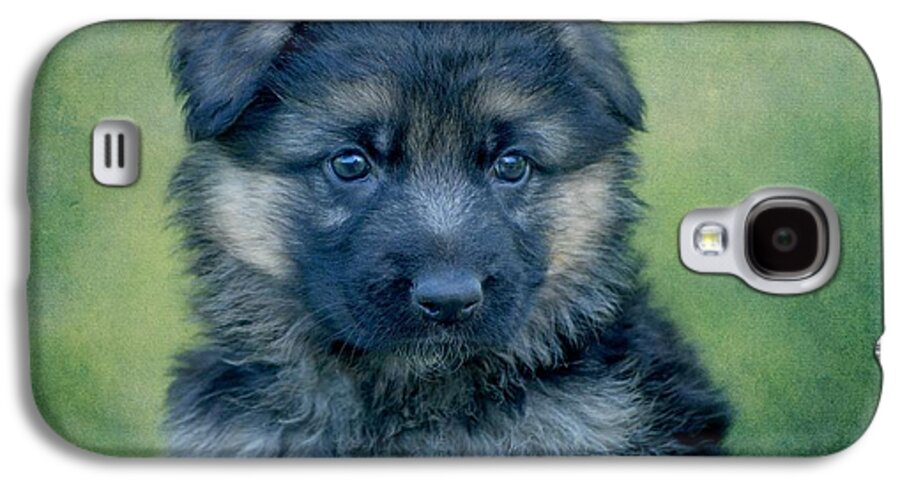 German Shepherd Puppy Galaxy S4 Case featuring the photograph Long Coated Puppy #1 by Sandy Keeton