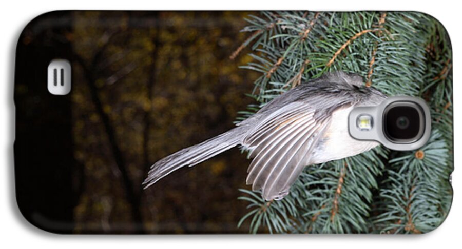 Tufted Titmouse Galaxy S4 Case featuring the photograph Tufted Titmouse In Flight #10 by Ted Kinsman