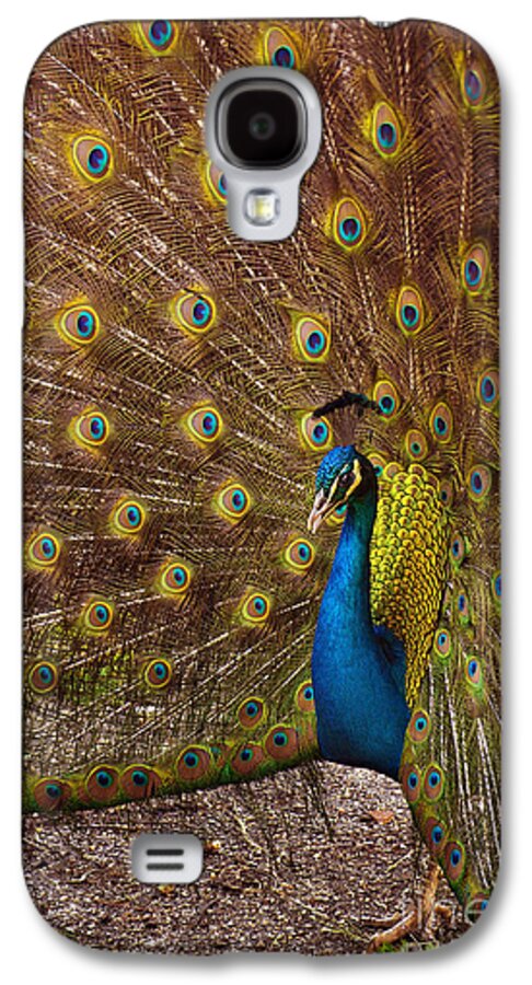Animal Galaxy S4 Case featuring the photograph Peacock #2 by Carlos Caetano