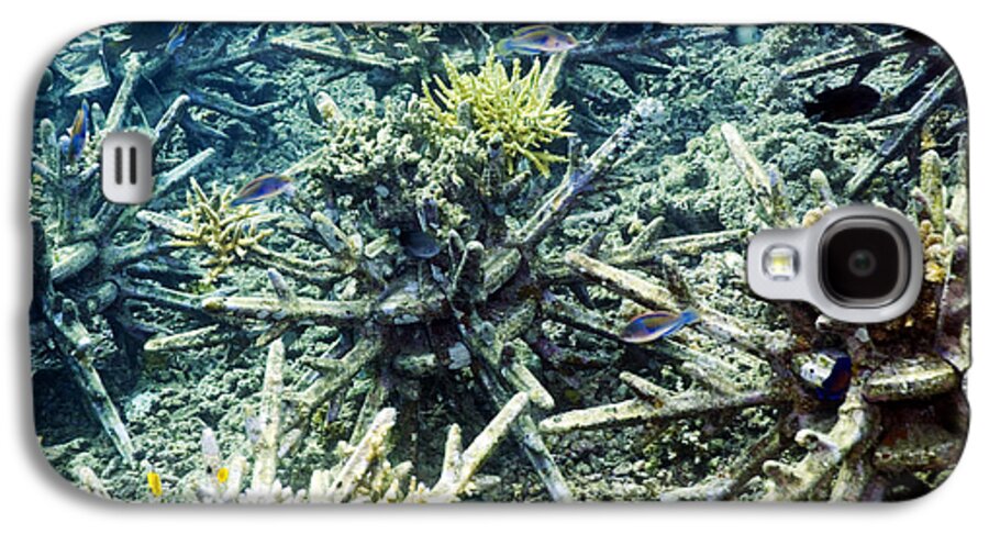 Fish Galaxy S4 Case featuring the photograph Artificial Reef #3 by Georgette Douwma