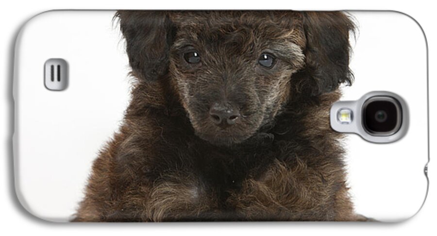 Animal Galaxy S4 Case featuring the photograph Puppy #3 by Mark Taylor