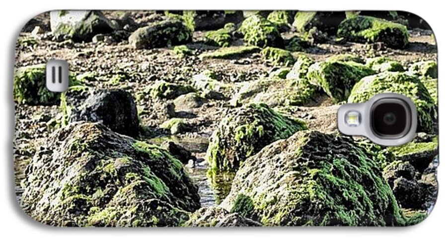 Beautiful Galaxy S4 Case featuring the photograph Algae Rocks by Arya Swadharma