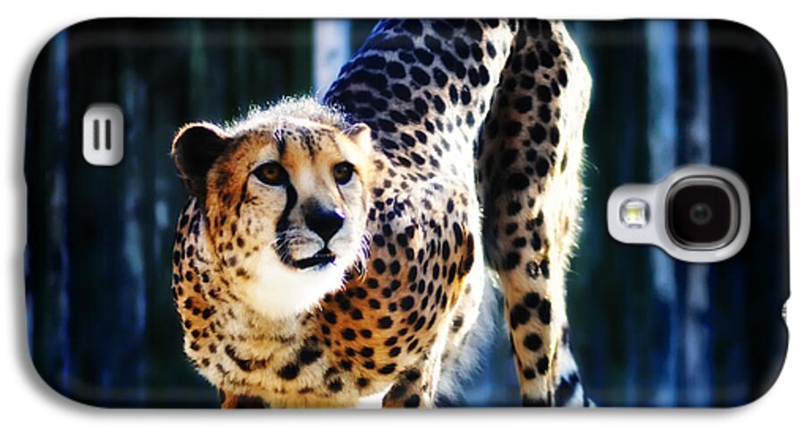Cheeta Galaxy S4 Case featuring the photograph Cheeta by Bill Cannon