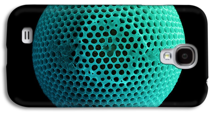Nature Galaxy S4 Case featuring the photograph Fossil Diatom, Sem by Ted Kinsman
