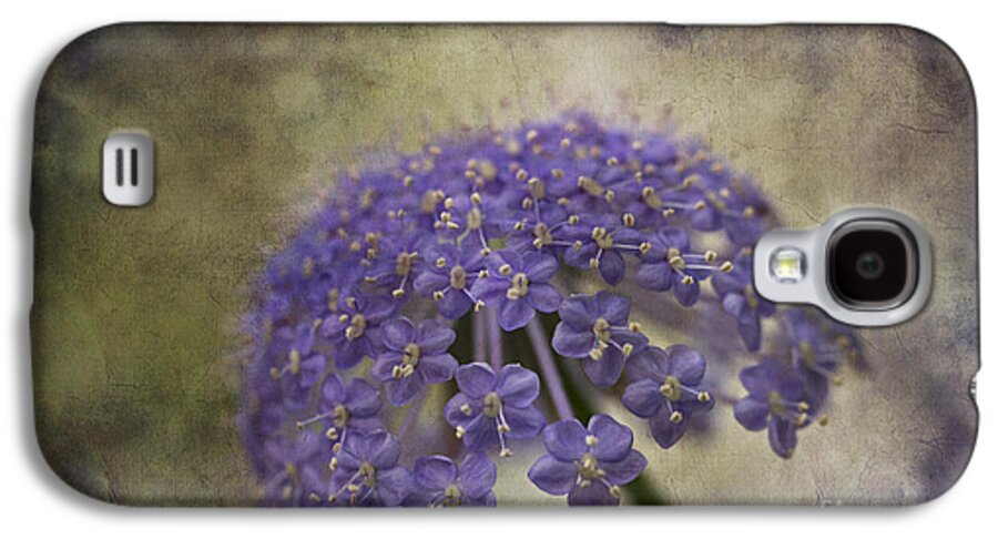 Flower Galaxy S4 Case featuring the photograph Moody Blue by Clare Bambers