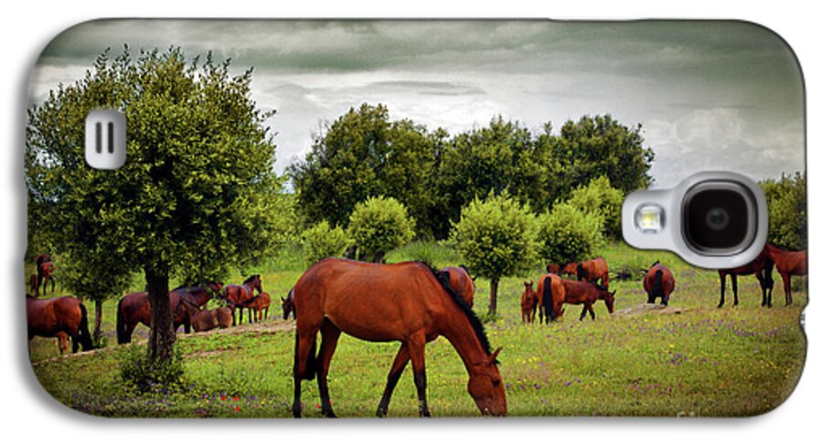 Agriculture Galaxy S4 Case featuring the photograph Red Horses by Carlos Caetano