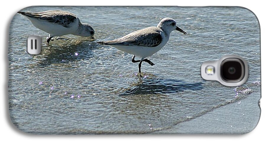 Sandpiper Galaxy S4 Case featuring the photograph Sandpiper 7 by Joe Faherty