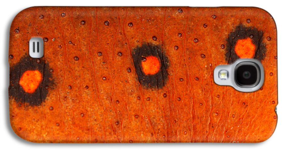 Skin Galaxy S4 Case featuring the photograph Skin Of Eastern Newt by Ted Kinsman